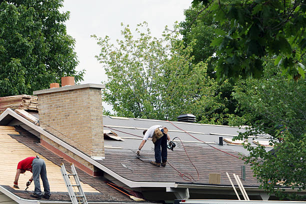 Best Shingle Roofing Installation  in Nd Lake, WI