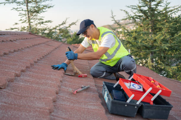 Best Roof Gutter Cleaning  in Nd Lake, WI