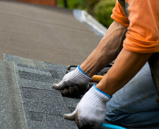 Best Metal Roofing Contractor  in Nd Lake, WI